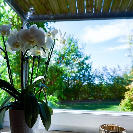 Nice Flat With Sauna Covered Terrace Garden And Tree House For Children Zandt Luaran gambar