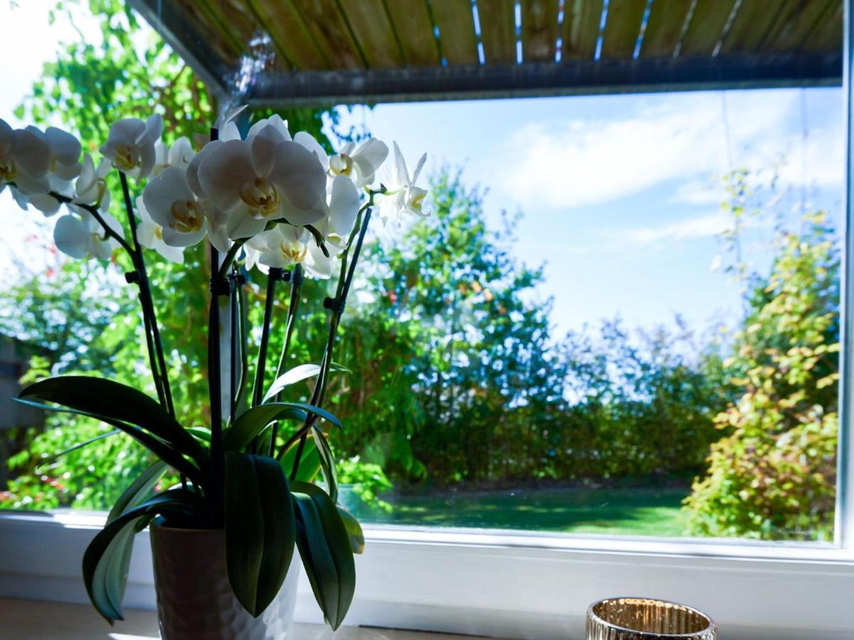 Nice Flat With Sauna Covered Terrace Garden And Tree House For Children Zandt Luaran gambar